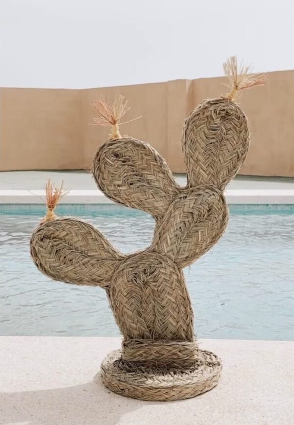 CACTUS CHUMBERA